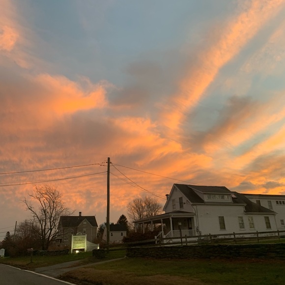 Meet your Posher, Savannah - Picture 1 of 1